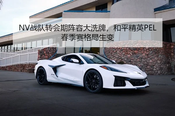 NV战队转会期阵容大洗牌，和平精英PEL春季赛格局生变